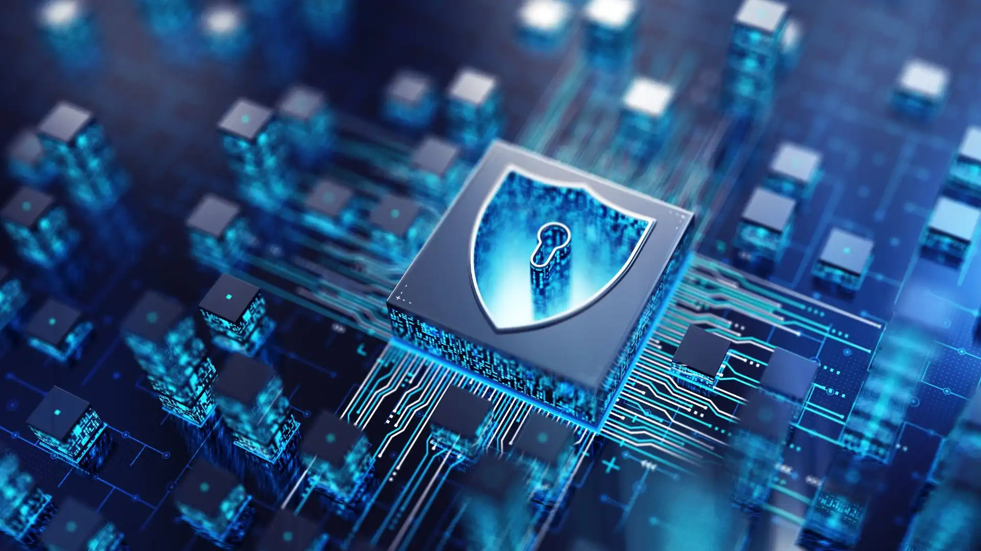 Data Protection Services